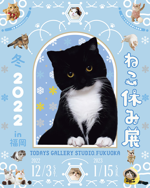 胸キュンが止まらない！どこをみても“ねこまみれ”『ねこ休み展-冬-2022
