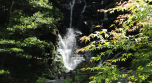 白糸の滝で残暑を涼しく！！