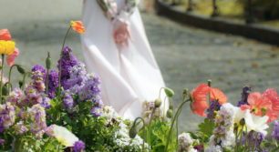 FUKUOKA FLOWER SHOW 2026